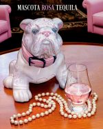 Mascota Rosa Pink Edition Blanco Tequila - Image 5