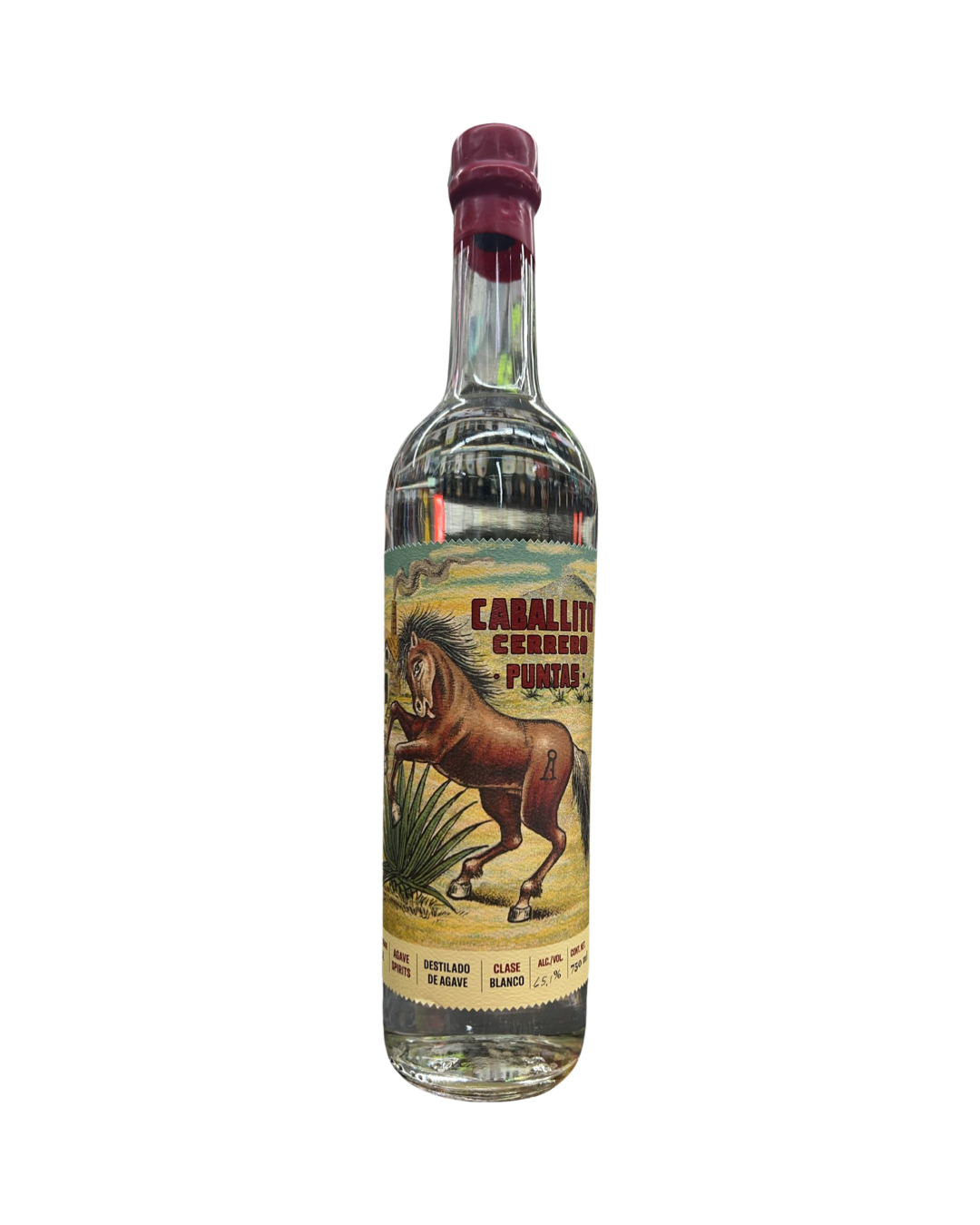 IMG-2098 Caballito Cerrero Azul Blanco Puntas 750ml - Image 1