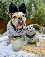 Mascota Reposado Tequila 750ml - Image 5
