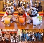 Mascota Reposado Tequila 750ml - Image 3